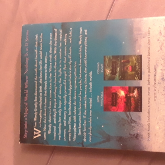 Torn book two of Trylle by Amanada Hocking - Picture 3 of 4